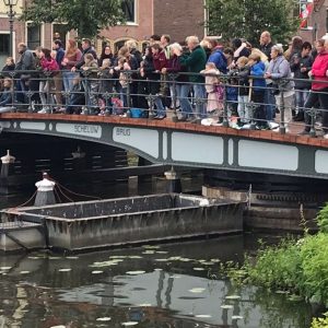 Werkzaamheden Scheluwbrug