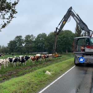 Schonen watergangen Rijnland Schonen watergangen Rijnland